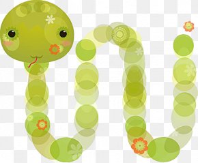 Cute Green Snake - Snake Trimeresurus Illustration PNG