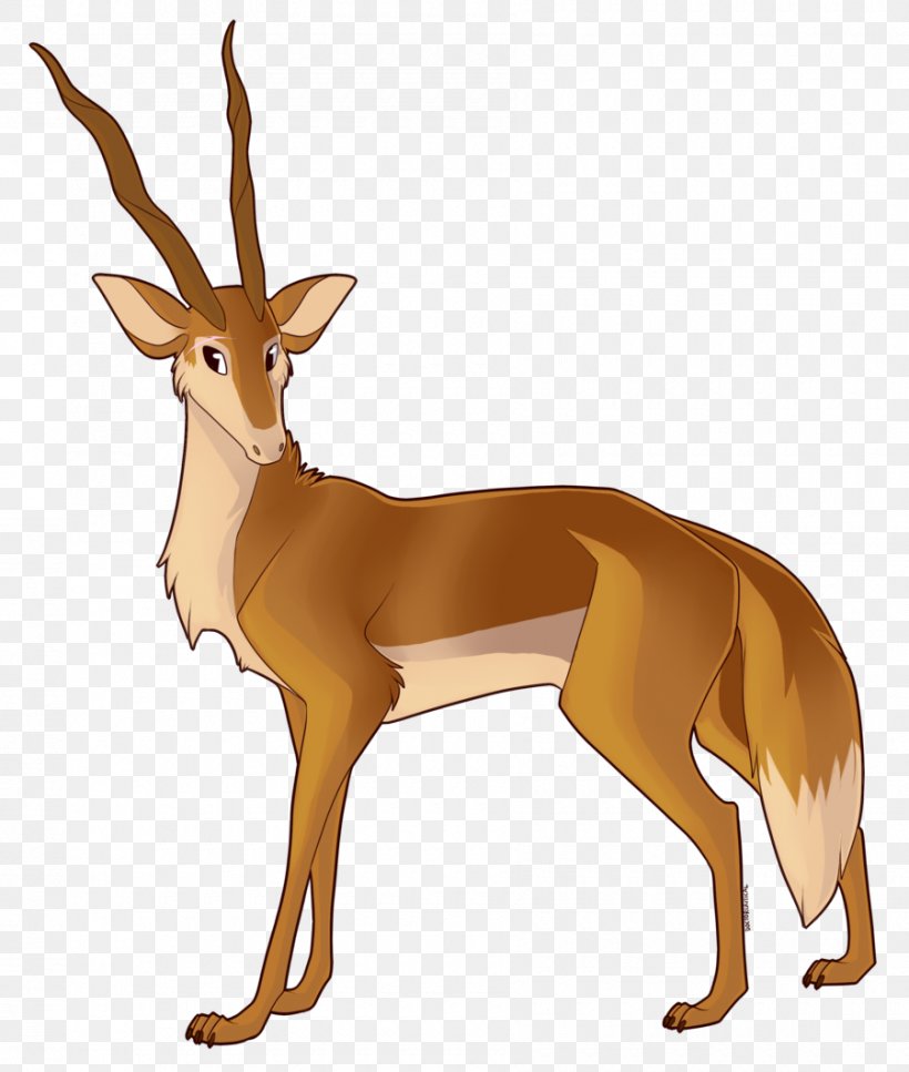 White-tailed Deer Gazelle Dog Antler, PNG, 900x1062px, Whitetailed Deer, Animal, Antelope, Antler, Canidae Download Free