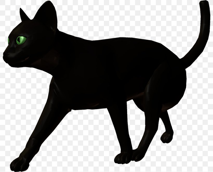 Black Cat Bombay Cat Havana Brown Korat Malayan Cat, PNG, 800x661px, Black Cat, Animal, Asian, Black, Black And White Download Free