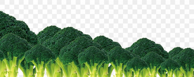 Broccoli Vegetable Cauliflower, PNG, 2000x800px, Broccoli, Brassica Oleracea, Cauliflower, Concepteur, Food Download Free