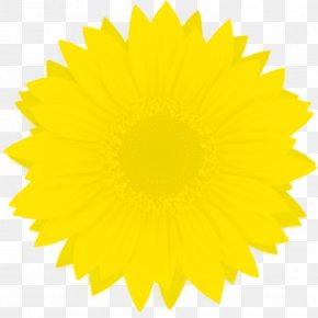 Clip Art PNG