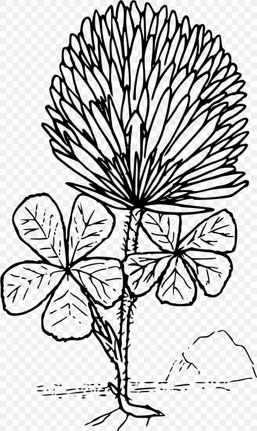 Coloring Book Four-leaf Clover Red Clover Shamrock, PNG, 1429x2400px, Coloring Book, Black And White, Branch, Child, Clover Download Free