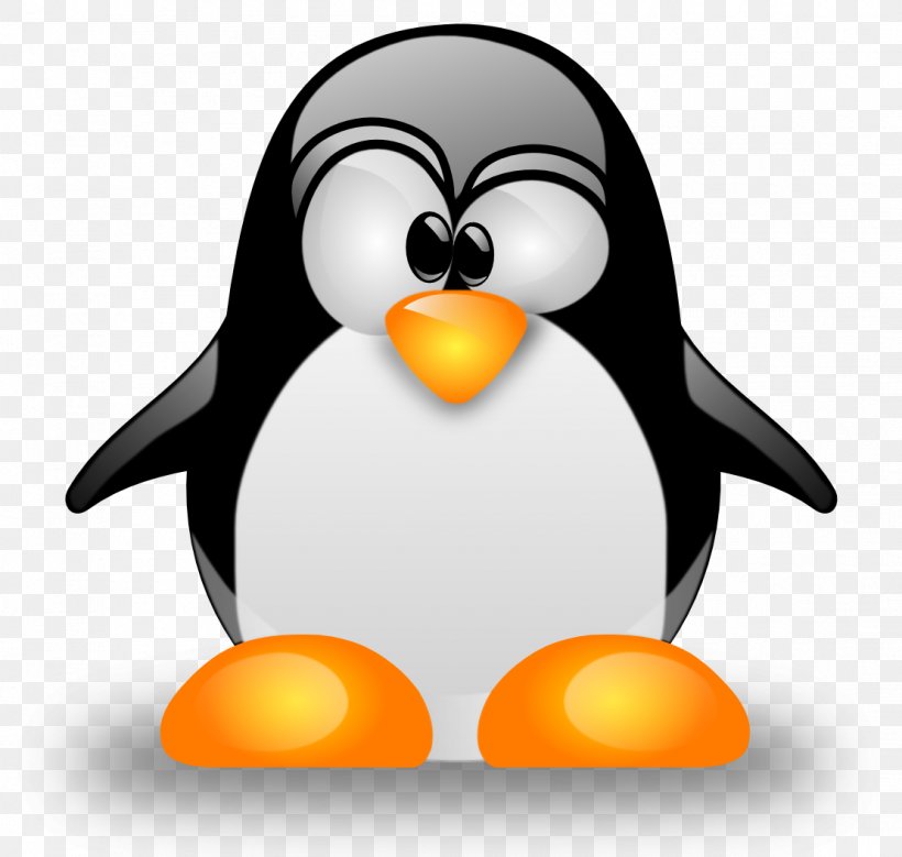Linux Operating Systems Installation Programmer Ubuntu, PNG, 1110x1055px, Linux, Antergos, Beak, Bird, Computer Servers Download Free