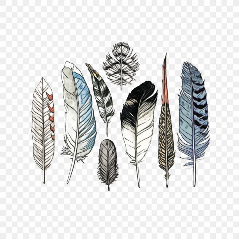 Product Design Feather, PNG, 1200x1200px, Feather, Colorado Spruce, Conifer, Fashion Accessory, Leaf Download Free