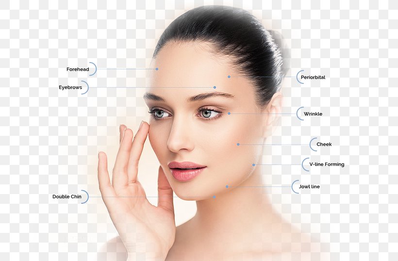 Skin Health Disease Cutaneous Condition Sebaceous Gland, PNG, 734x538px, Skin, Beauty, Cheek, Chin, Cutaneous Condition Download Free