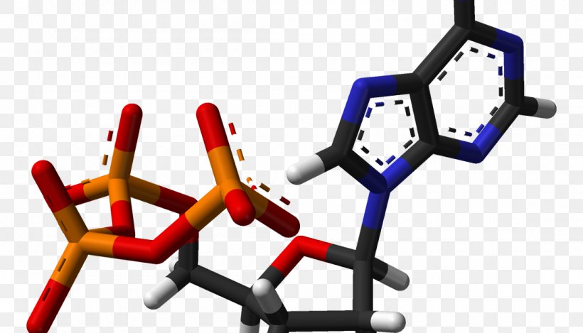 Adenosine Triphosphate Nicotinamide Adenine Dinucleotide, PNG, 1100x630px, Adenosine Triphosphate, Adenine, Adenosine, Adenosine Diphosphate, Adenosine Monophosphate Download Free
