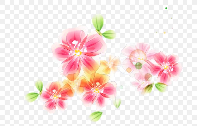 Blossom Mallows ST.AU.150 MIN.V.UNC.NR AD Floral Design Desktop Wallpaper, PNG, 700x527px, Blossom, Botany, Branch, Branching, Cherries Download Free