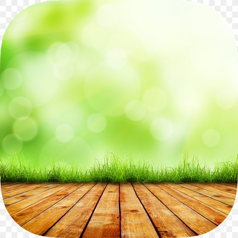 Desktop Wallpaper Image Stock Photography Nature, PNG, 1024x1024px, Stock Photography, Depositphotos, Field, Grass, Grass Family Download Free