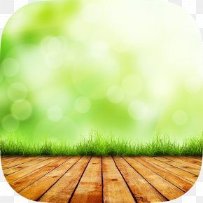Grass Hd Images - Desktop Wallpaper Image Stock Photography Nature PNG