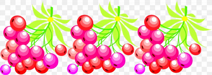 Fruit Grape Berry Guava Blackcurrant, PNG, 6555x2341px, Fruit, Berry, Blackcurrant, Citrus, Currant Download Free