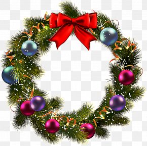 Holly Evergreen - Family Tree Design PNG