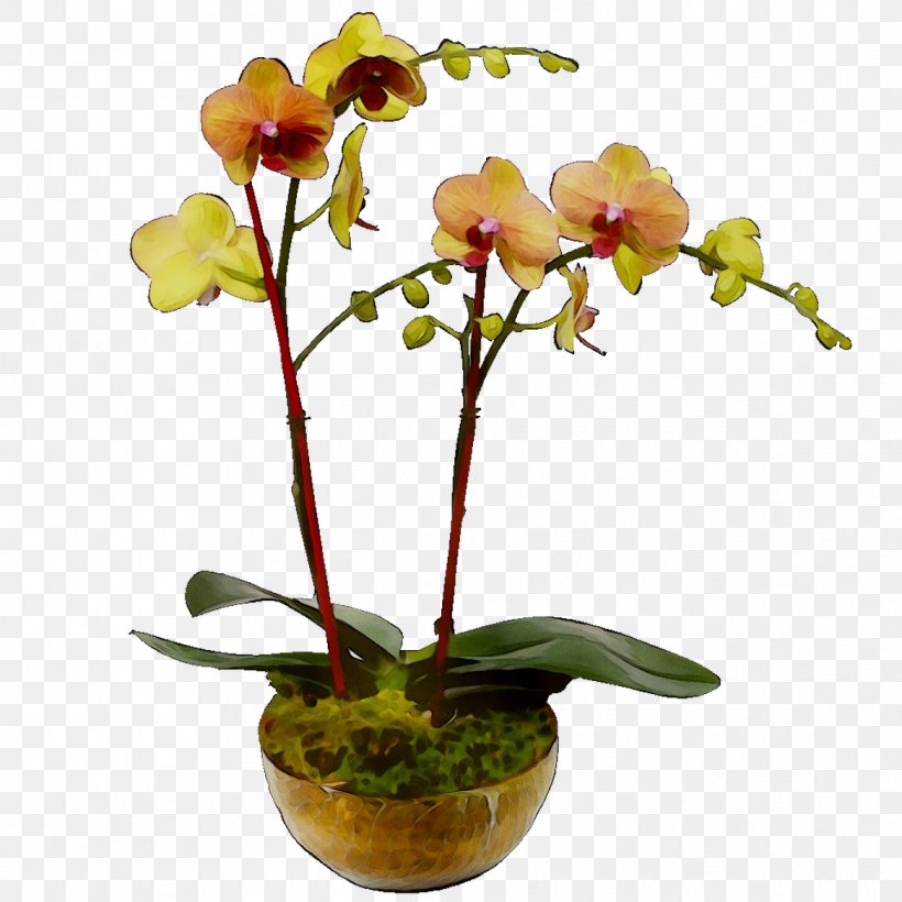 Moth Orchids Cut Flowers Floral Design Cattleya Orchids Plant Stem, PNG, 1167x1167px, Moth Orchids, Artificial Flower, Cattleya, Cattleya Orchids, Cut Flowers Download Free