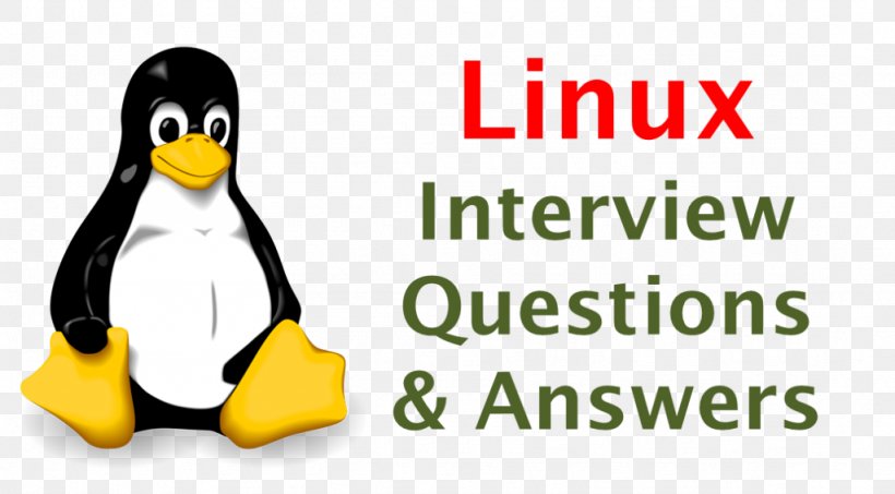 Top 50 Node. Js Interview Questions And Answers Linux Embedded System Job Interview, PNG, 1024x566px, Question, Android, Area, Beak, Bird Download Free