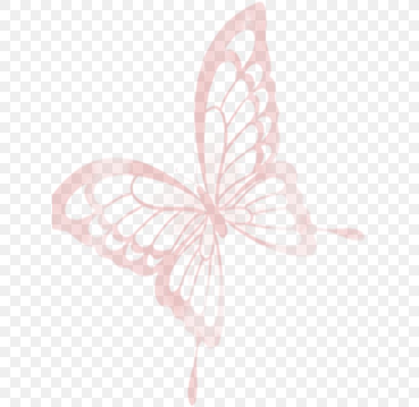 Butterfly Download, PNG, 615x798px, Butterfly, Camera, Color, Drawing, Gratis Download Free