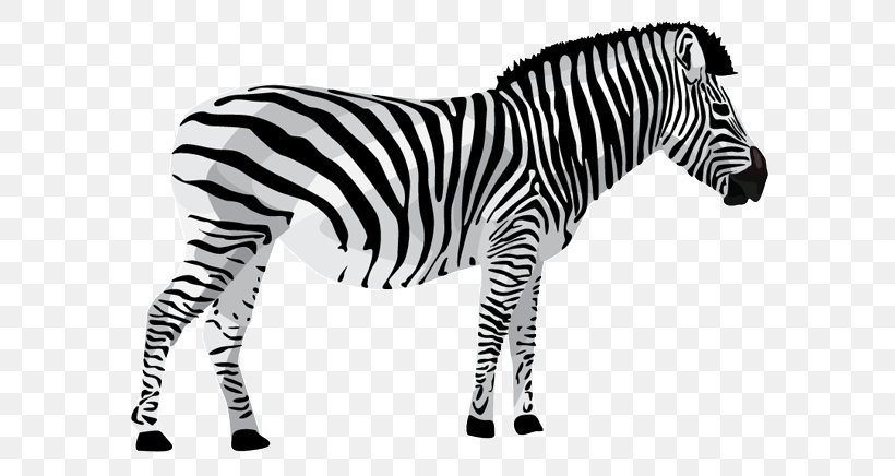 Quagga Lion Giraffe Zebra, PNG, 600x436px, Quagga, Animal, Animal Figure, Black And White, Giant Panda Download Free