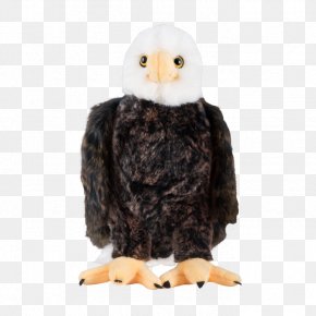 Bald Eagle Emblem 1782 - The Bald Eagle White House Great Seal Of The United States PNG