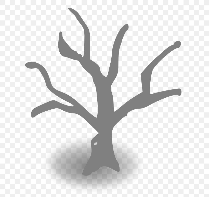 Tree Branch Clip Art, PNG, 699x771px, Tree, Black And White, Blog, Branch, Free Content Download Free