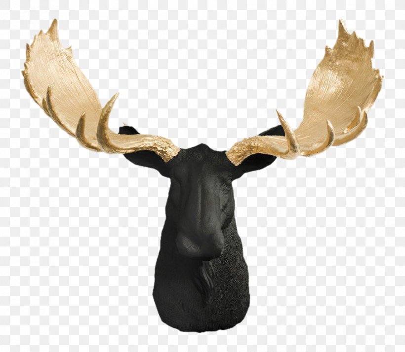 White-tailed Deer Moose Elk Antler, PNG, 904x788px, Deer, American Moose, Animal, Antler, Bison Download Free