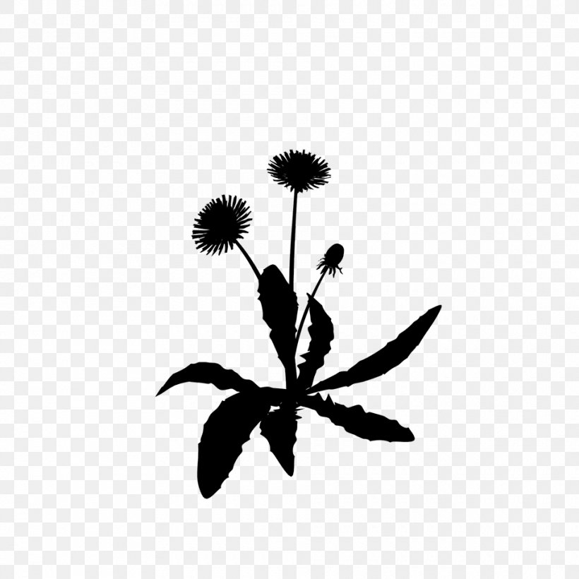 Black And White Flower, PNG, 960x960px, Petal, Black M, Black White M, Blackandwhite, Computer Download Free