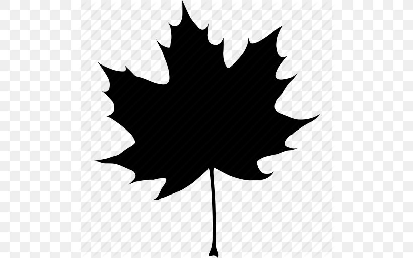 Canada Acer Nigrum Maple Leaf Autumn, PNG, 512x512px, Canada, Acer Nigrum, Autumn, Autumn Leaf Color, Black And White Download Free