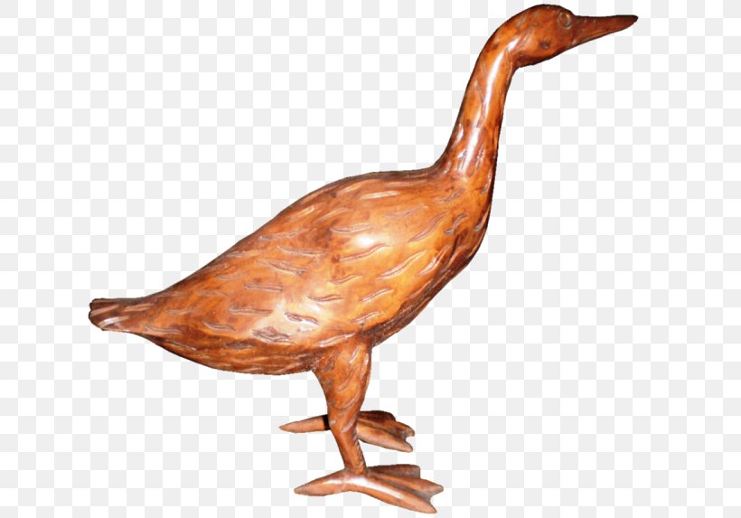 Duck Beak Fauna Water Bird, PNG, 640x573px, Duck, Beak, Bird, Ducks Geese And Swans, Fauna Download Free