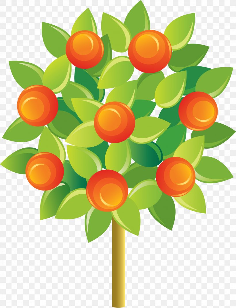 Fruit Tree Tangerine Mandarin Orange, PNG, 3405x4434px, Tree, Apple, Branch, Citrus Xd7 Sinensis, Floral Design Download Free