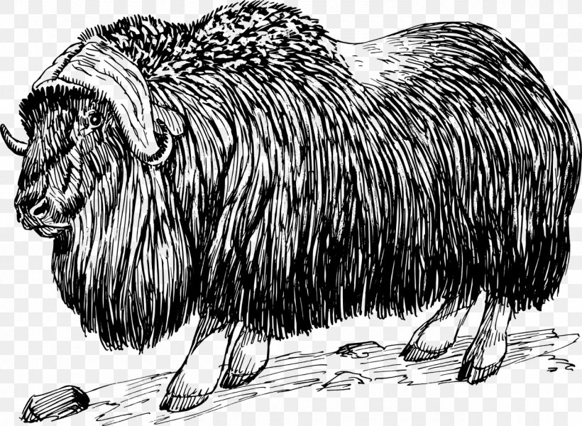 Muskox Clip Art, PNG, 1280x938px, Muskox, Animal, Black And White, Carnivoran, Cattle Like Mammal Download Free