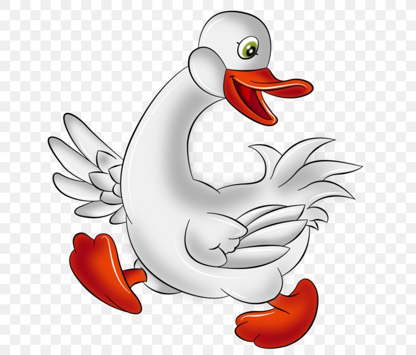 Goose Cartoon Drawing Clip Art Png 700x700px Goose Animal Anser Artwork Beak Download Free