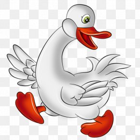 Goose - Goose Cartoon Drawing Clip Art PNG