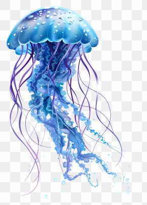 Jellyfish - Detailed Blue Jellyfish Illustration With Tentacles PNG