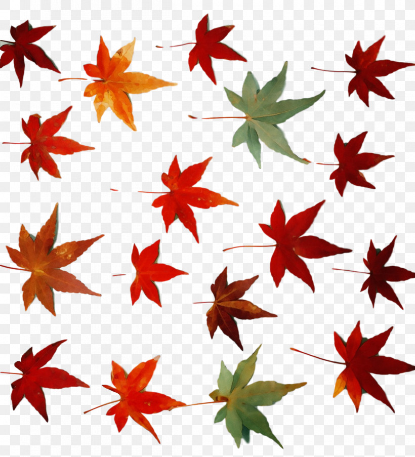 Leaf Flower Maple Leaf / M Line Pattern, PNG, 1200x1322px, Watercolor, Flower, Geometry, Leaf, Line Download Free