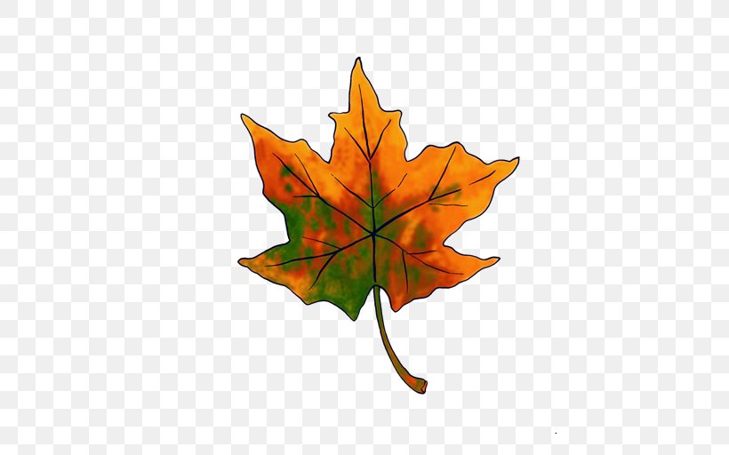 Maple Leaf Deciduous, PNG, 512x512px, Leaf, Deciduous, Maple Leaf, Orange, Plant Download Free