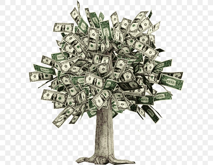 Moneytree Guiana Chestnut Money Trees Bank Account, PNG, 600x636px, Money, Bank, Bank Account, Cash, Coin Download Free