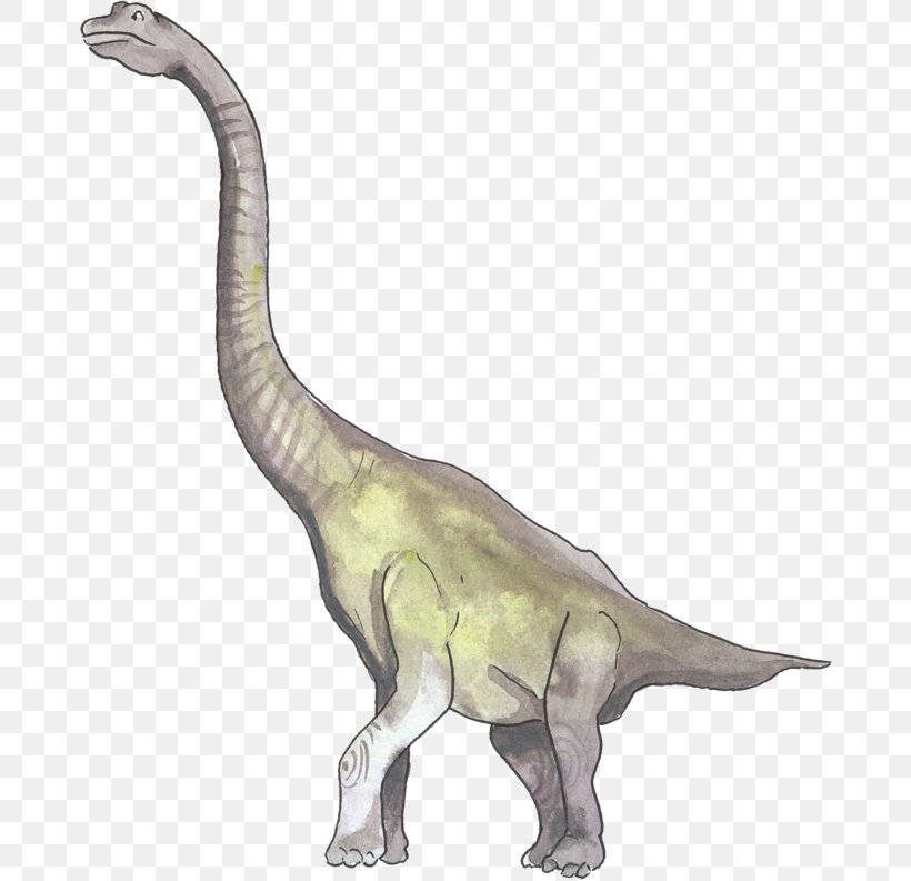 Tyrannosaurus Velociraptor Terrestrial Animal, PNG, 678x793px, Tyrannosaurus, Animal, Animal Figure, Dinosaur, Extinction Download Free