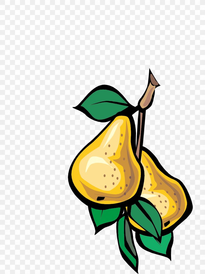 Fruit Pear Vegetable Euclidean Vector, PNG, 868x1162px, Fruit, Art, Auglis, Butterfly, Flower Download Free