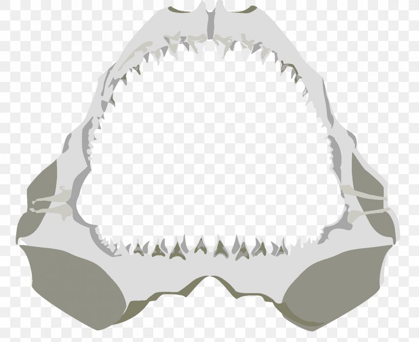 Jaw Angle, PNG, 1200x978px, Jaw Download Free