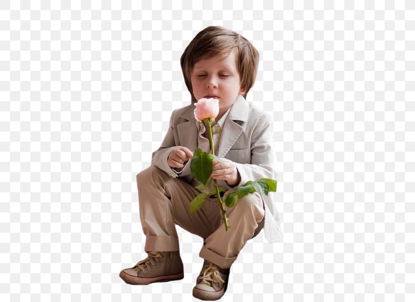 Rose Image Being Object User Account, PNG, 426x597px, Rose, Being, Blue Rose, Boy, Child Download Free