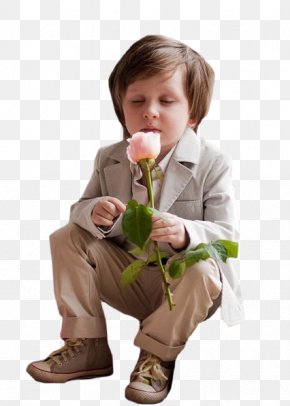 Enfant - Rose Image Being Object User Account PNG