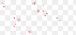 Plum Blossom Petals Floating - Sky Petal Close-up Wallpaper PNG