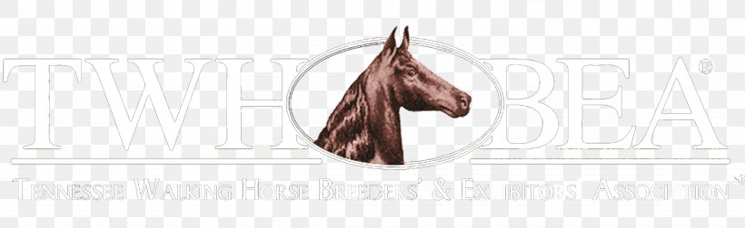 Tennessee Walking Horse Breeders' And Exhibitors' Association Logo Brand, PNG, 4585x1411px, Watercolor, Cartoon, Flower, Frame, Heart Download Free