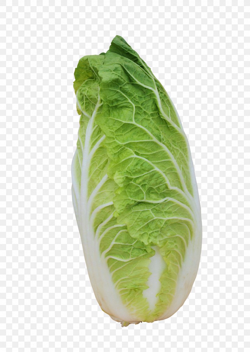 Romaine Lettuce Napa Cabbage Spring Greens Chinese Cabbage, PNG, 1800x2534px, Romaine Lettuce, Cabbage, Chinese Cabbage, Collard Greens, Food Download Free