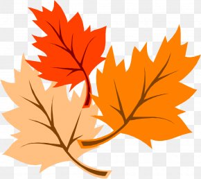 Beautiful Autumn Cliparts - Autumn Leaf Color Clip Art PNG