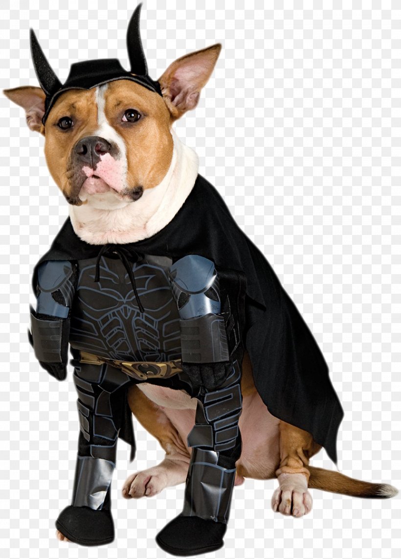 Batman Dog Batgirl Halloween Costume, PNG, 861x1200px, Batman, Batgirl, Carnivoran, Clothing, Costume Download Free