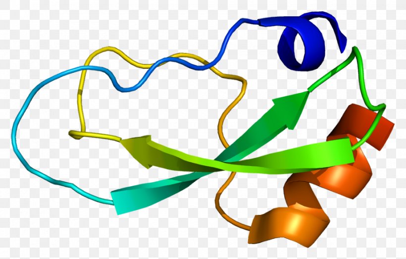 Collagen, Type VI, Alpha 3 Collagen VI Type I Collagen Protein, PNG, 920x587px, Collagen, Area, Artwork, Collagen Type I Alpha 1, Collagen Type Iii Alpha 1 Download Free