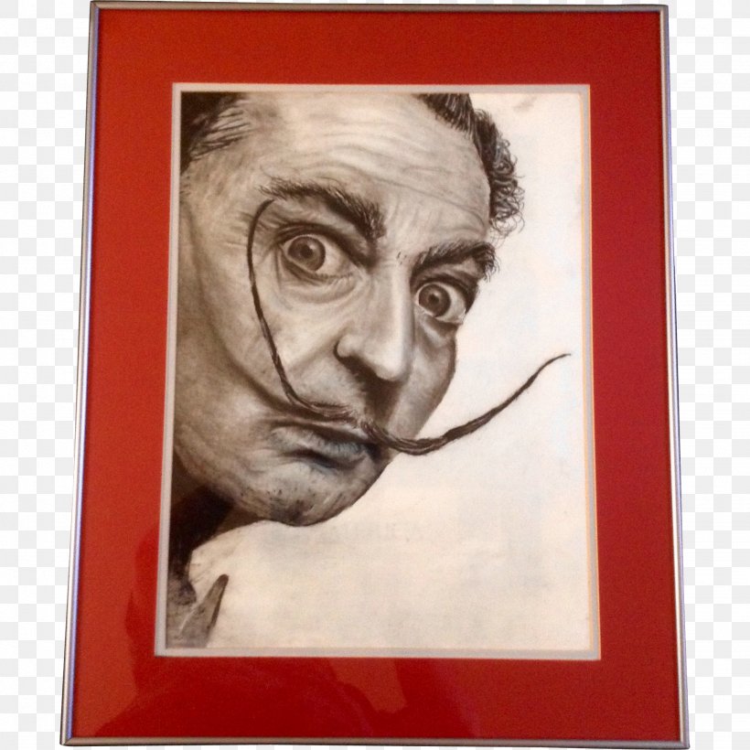 Dali's Mustache Drawing Moustache Painting Artist, PNG, 2048x2048px, Drawing, Art, Art Museum, Artist, Artwork Download Free