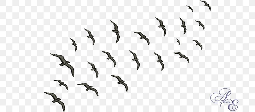 Flock Bird Migration Swarm Behaviour Animal Migration, PNG, 722x361px, Flock, Animal Migration, Beak, Bird, Bird Migration Download Free