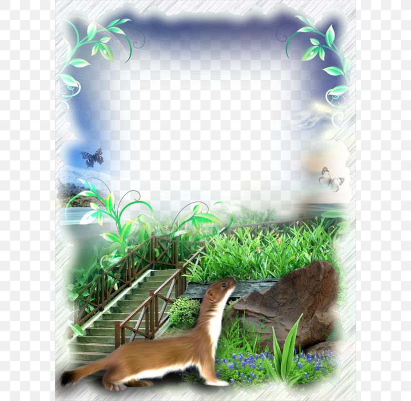 Picture Frame Nature, PNG, 600x800px, Picture Frame, Application Software, Ecosystem, Fauna, Film Frame Download Free