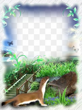 Purple Grass Ladder Frame - Picture Frame Nature PNG