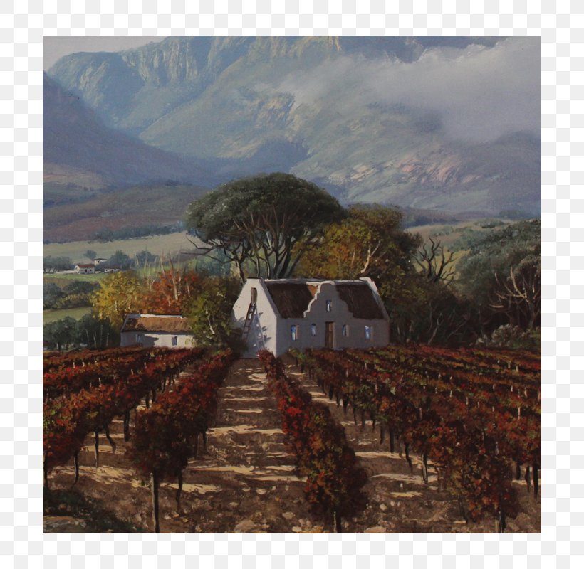 Common Grape Vine Painting Hill Station Plantation Mountain, PNG, 800x800px, Common Grape Vine, Agriculture, Arch, Hill Station, Landscape Download Free