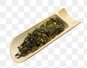 Osmanthus Oolong Tea Material - Flowering Tea Oolong Green Tea Tea Bag PNG